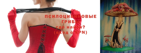 ПСИЛОЦИБИНОВЫЕ ГРИБЫ Волосово