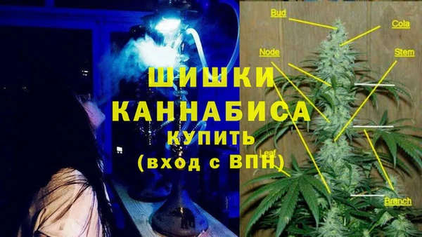 ПСИЛОЦИБИНОВЫЕ ГРИБЫ Волосово