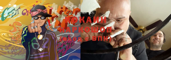 ПСИЛОЦИБИНОВЫЕ ГРИБЫ Волосово